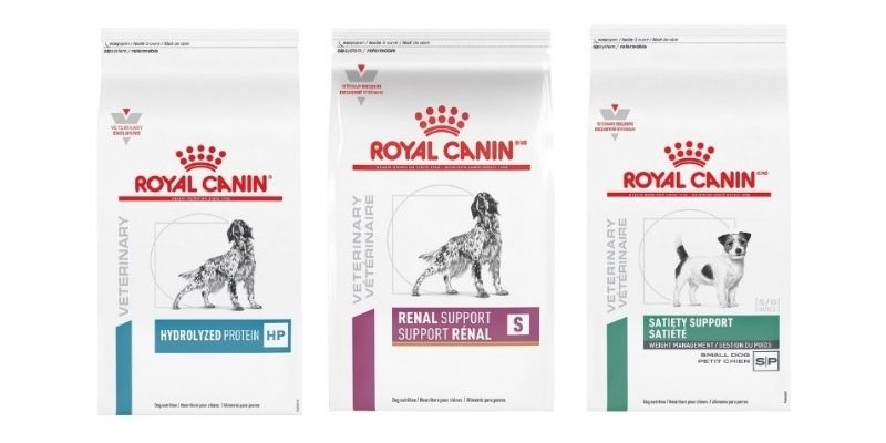 Chewy royal best sale canin renal support