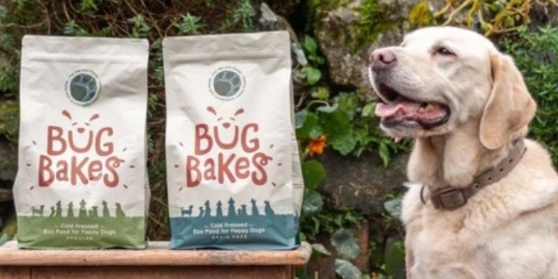 Dog Food Branding: How Companies Differentiate Their Products in a Saturated Market