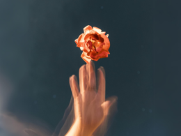 abstract hand touching a flower